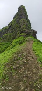 IMG-20210417-WA0025-min